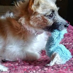 Meet your Posher, Francisco emmanuel